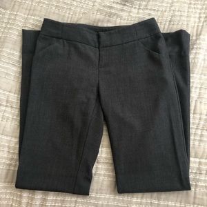 Gianni Bini Dress Pants
